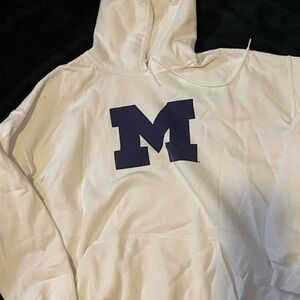 Michigan College Hoodie